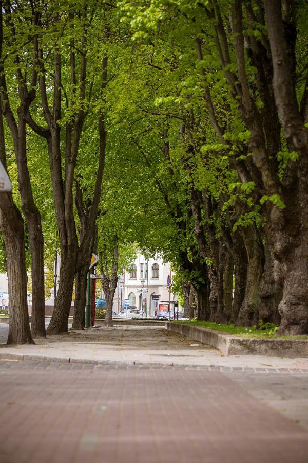 Apartamento Dvieju Kambariu Butas Klaipedos Centre Klaipėda Exterior foto